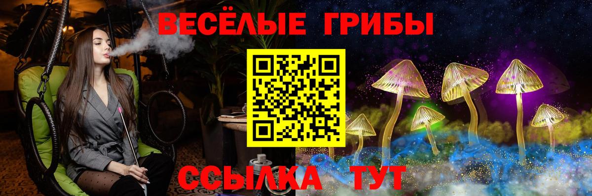 Чернушка  Псилоцибиновые грибы Psilocybe  Галлюциногенные грибы GOLDEN TEACHER  Вход с VPN 