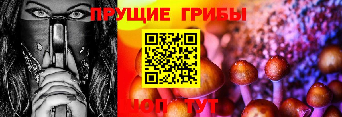 Галлюциногенные грибы ЛСД Чернушка